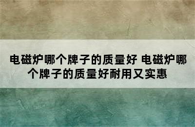 电磁炉哪个牌子的质量好 电磁炉哪个牌子的质量好耐用又实惠